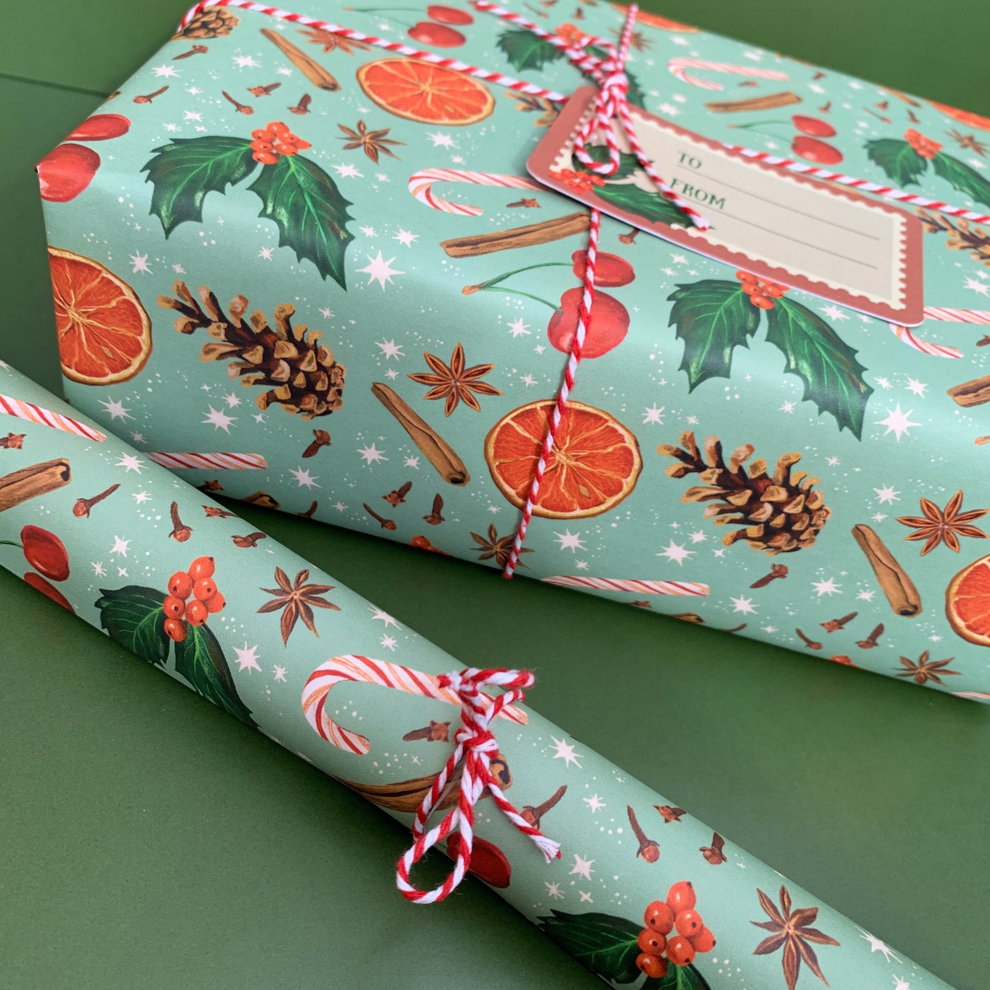 Anna Seed Art | Christmas Wrapping Paper - "Australian Christmas" (Green) - A2 flat sheet