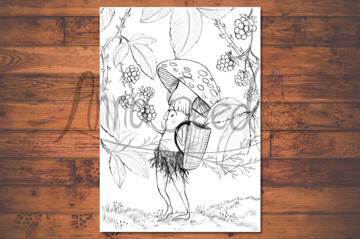 Anna Seed Art | Printable Colouring Page - Foraging (DIGITAL DOWNLOAD)