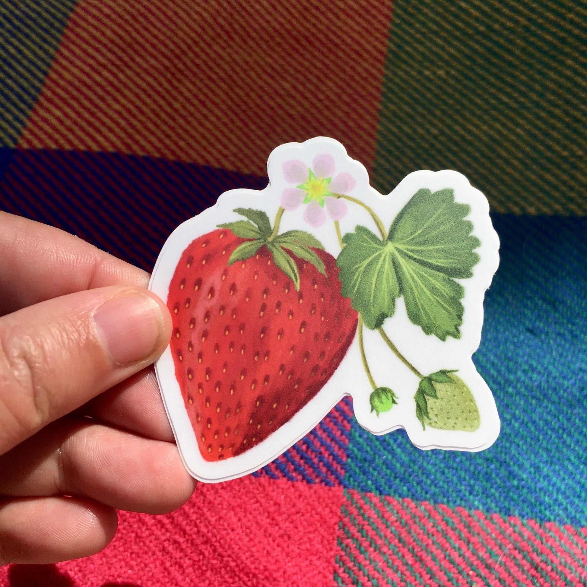 Anna Seed Art | Sticker - Strawberry -  Matte waterproof vinyl